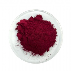 Pigment Red 169 / Rhodamine Red FB