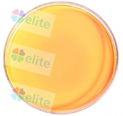 Fluorescent pigment FQ series
