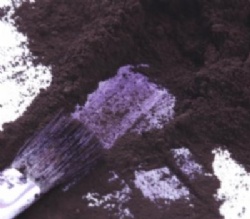 Pigment Violet 3 / Fast Violet Toner B